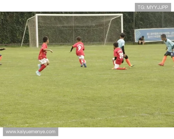 足球巨星对话：从绿茵场到人生舞台的心路历程与荣耀时刻